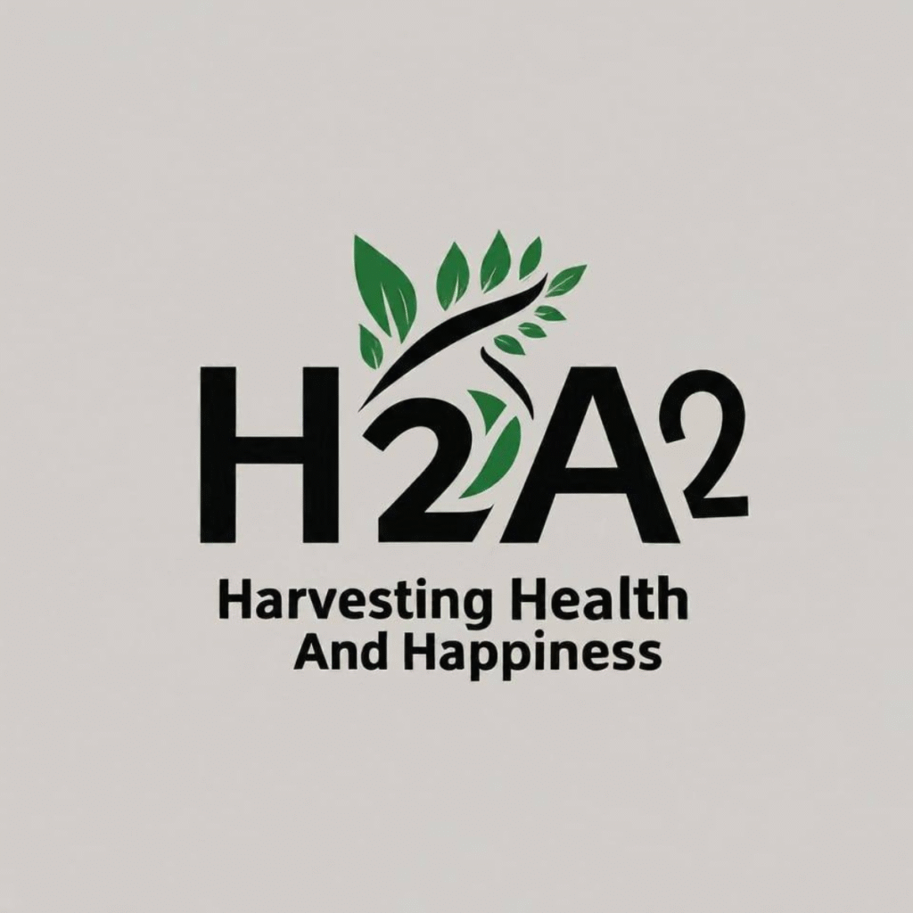 h2a2 logo